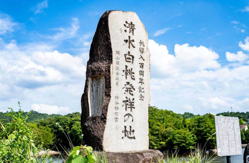 清水白桃の記念碑の写真